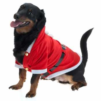 Foute kerst party kleding voor honden