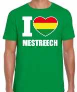 Foute carnaval i love mestreech t-shirt groen voor heren party