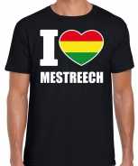 Foute carnaval i love mestreech t-shirt zwart voor heren party