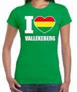 Foute carnaval i love vallekeberg t-shirt groen voor dames party