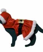 Foute kerstman pakje party kleding voor kat poes